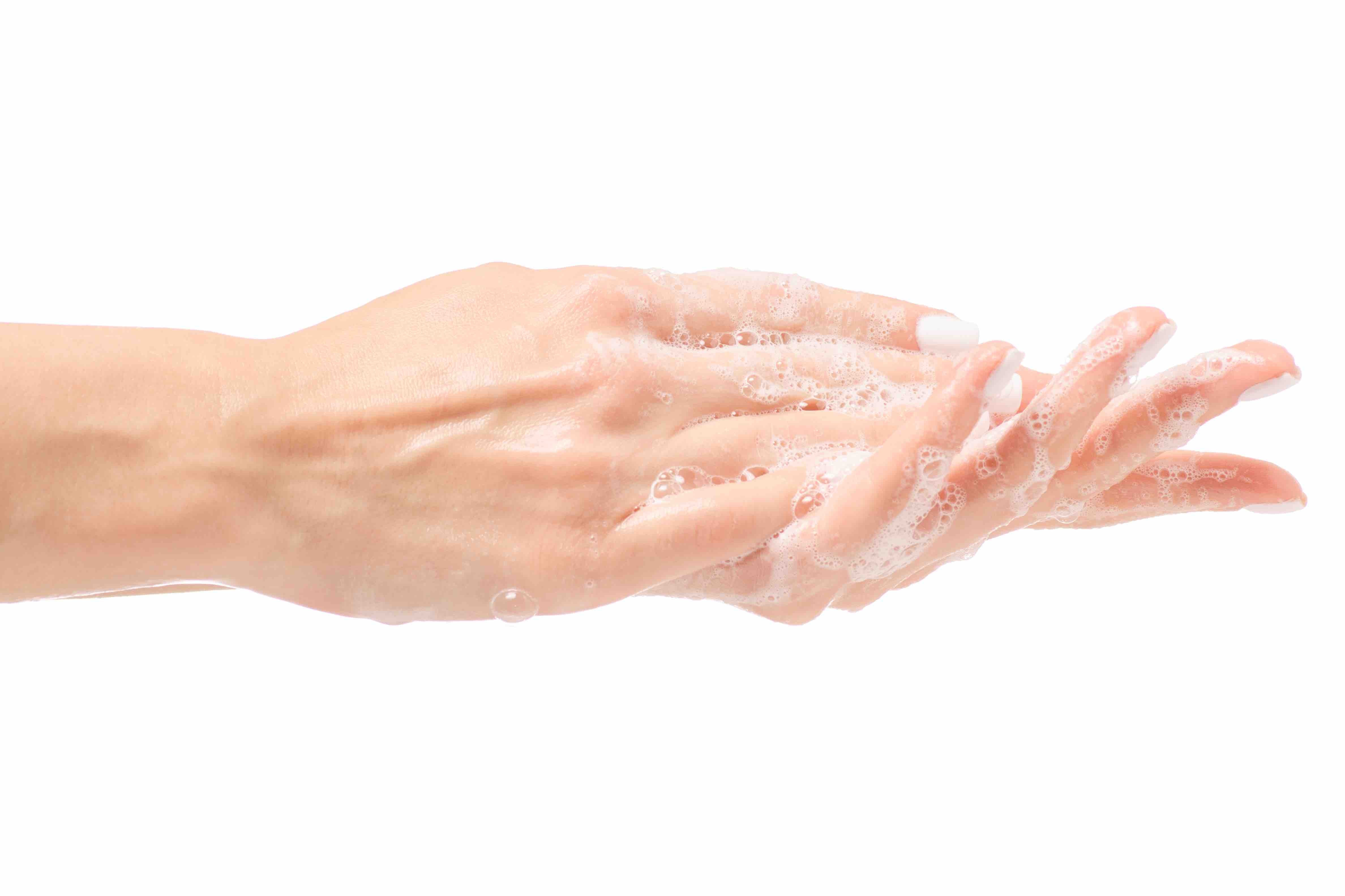 Hand Hygiene How does soap kill bacteria? WØRKS